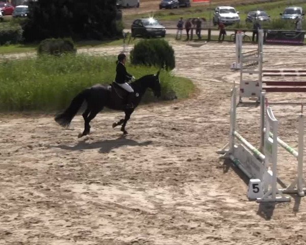 Recklinghausen 2014