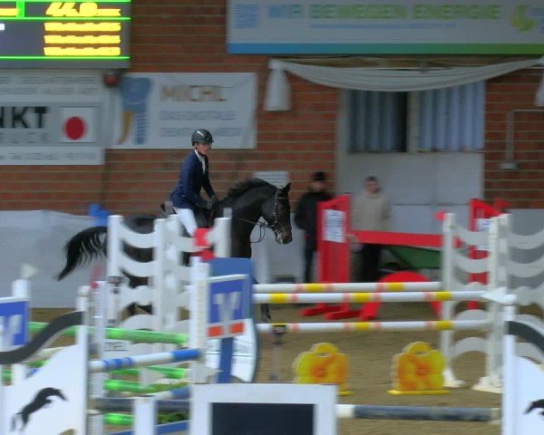 Reitturnier Gronau 2025