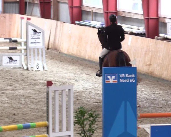 Turniej Jeździecki Süderlügum 2025