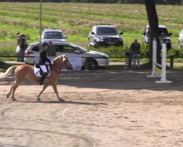 Recklinghausen 2014
