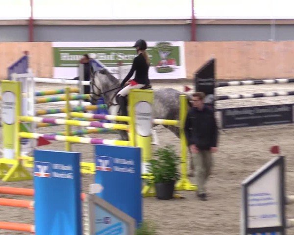 Reitturnier Süderlügum 2025