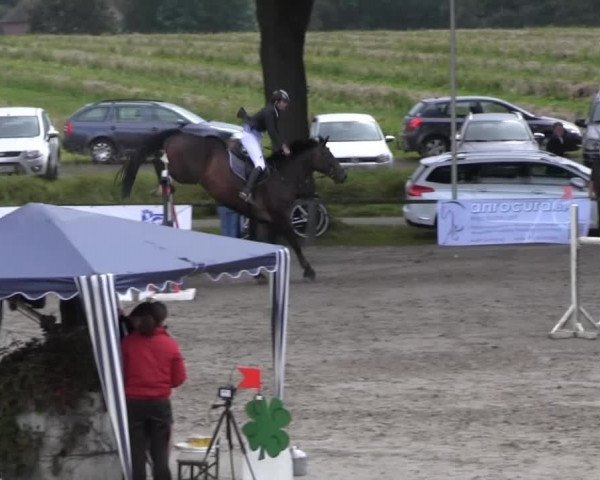Recklinghausen 2014