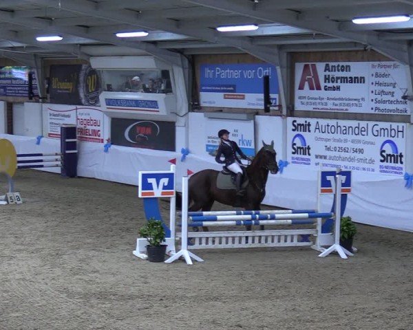 Reitturnier Gronau 2025