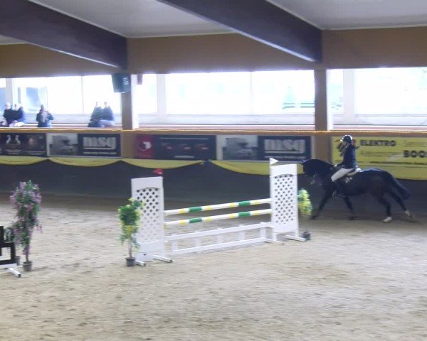 Reitturnier Sauldorf-Boll 2025