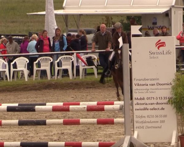 Mendener Reitertage 2014