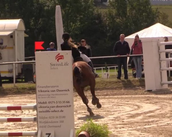 Mendener Reitertage 2014