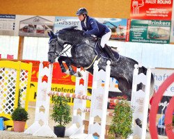 Springpferd Diaceur (Holsteiner, 2015, von Diarado)