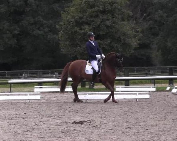 Recklinghausen 2014
