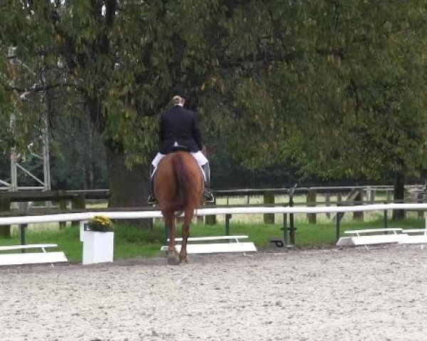 Recklinghausen 2014