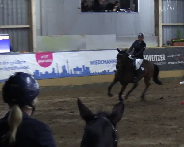 Reitturnier Pausin 2025