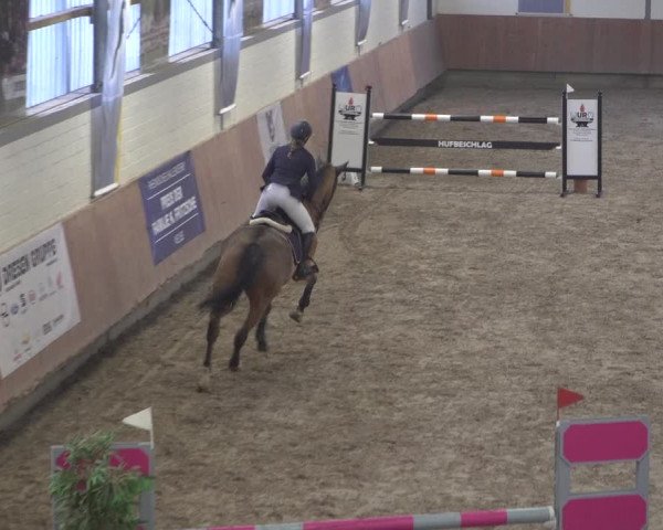 Reitturnier Grevenbroich - Gut Neuhaus 2021