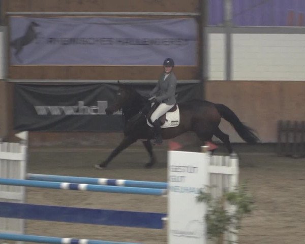 Reitturnier Grevenbroich - Gut Neuhaus 2021