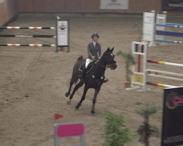 Reitturnier Grevenbroich - Gut Neuhaus 2021