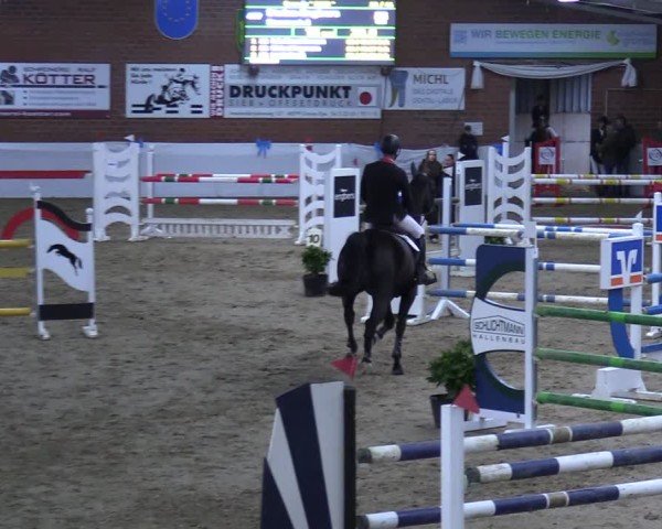 Reitturnier Gronau 2025