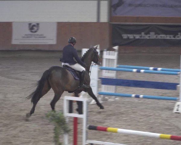 Reitturnier Grevenbroich - Gut Neuhaus 2021