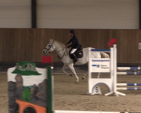 Reitturnier Zwickau 2025