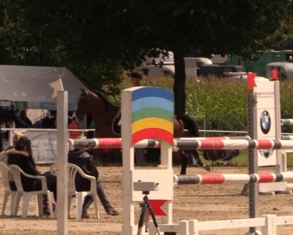 Mendener Reitertage 2014