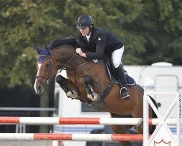 jumper Westergaardens Fleur (Danish Warmblood, 2005, from Come Back II)