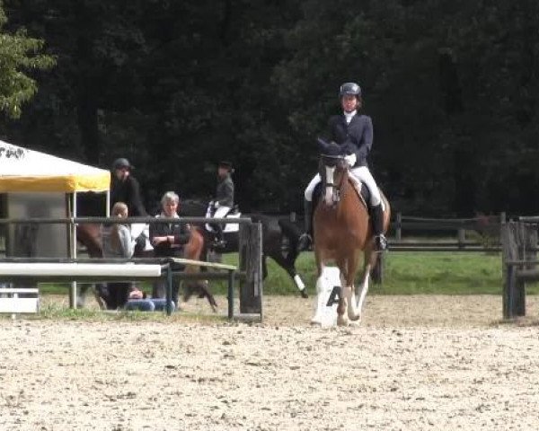 Recklinghausen 2014
