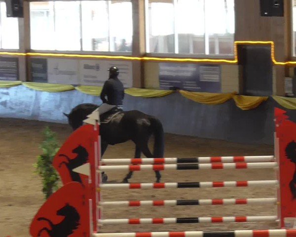 Reitturnier Sauldorf-Boll 2025