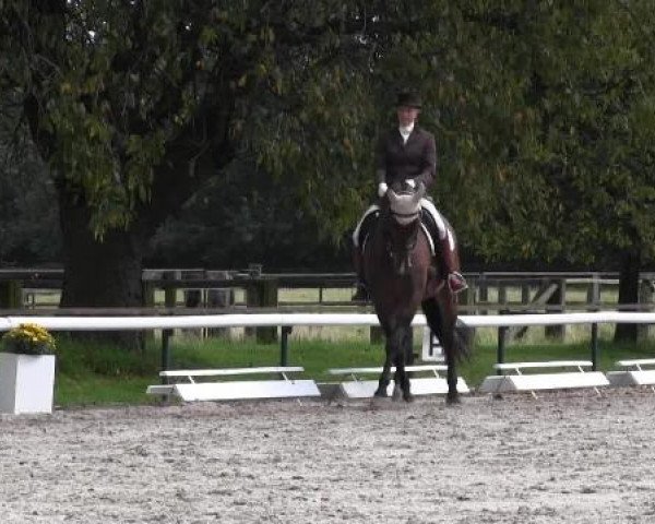 Recklinghausen 2014