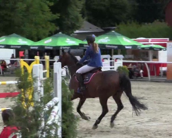 Hachenburg 2014