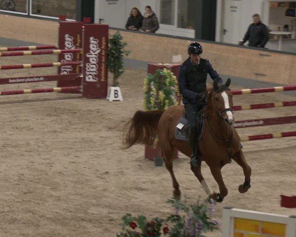 Reitturnier Borken 2025