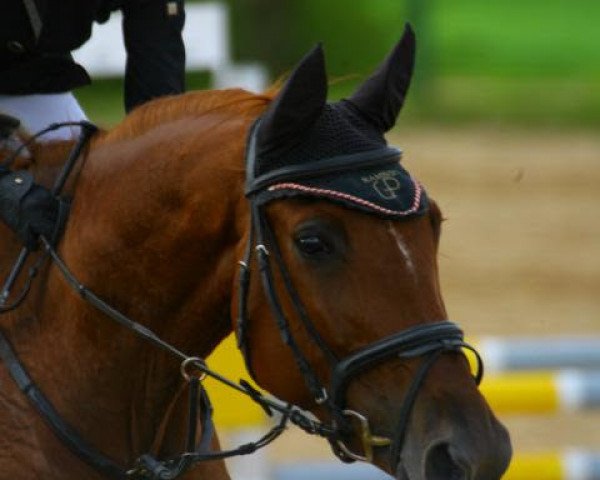 jumper Ganny F (Württemberger, 2009, from Casinos)