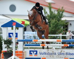 jumper Czekalla F (Württemberger, 2008, from Casinos)