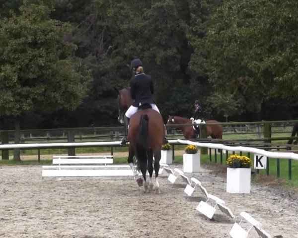 Recklinghausen 2014