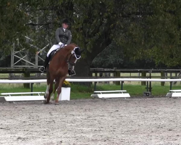 Recklinghausen 2014