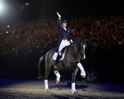 dressage horse Valegro (KWPN (Royal Dutch Sporthorse), 2002, from Negro)