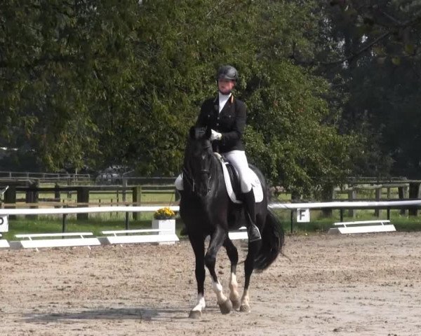 Recklinghausen 2014