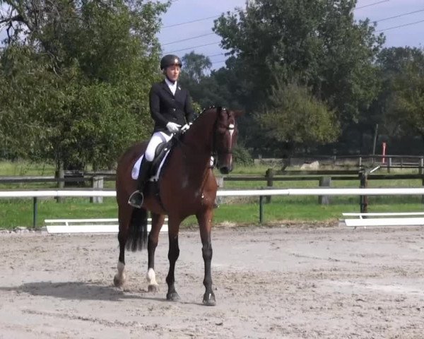 Recklinghausen 2014