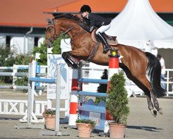 broodmare Fabel 52 (Bavarian, 2005, from Luberon)