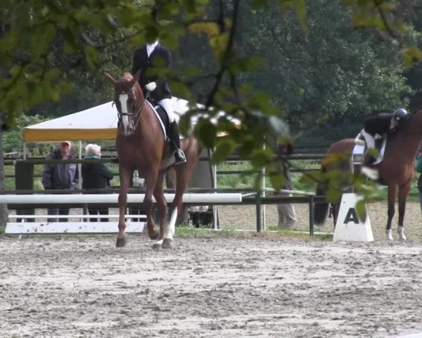 Recklinghausen 2014
