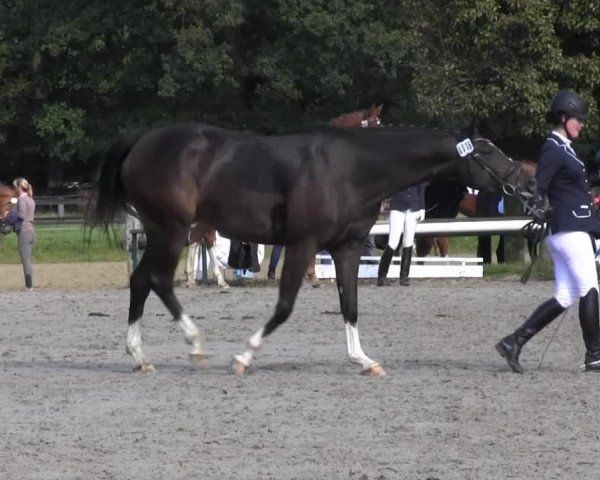 Recklinghausen 2014