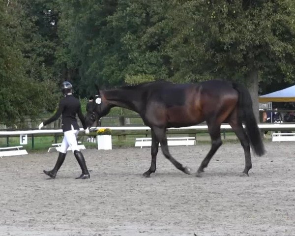 Recklinghausen 2014