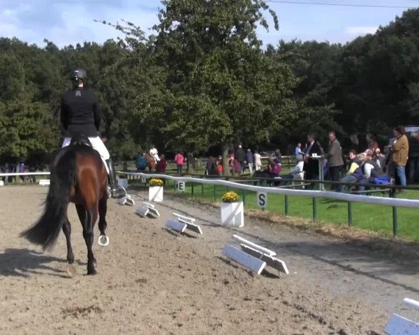 Recklinghausen 2014