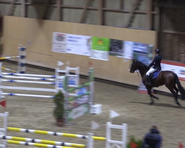 Reitturnier Fehraltorf 2025