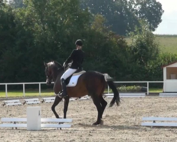 Mendener Reitertage 2014