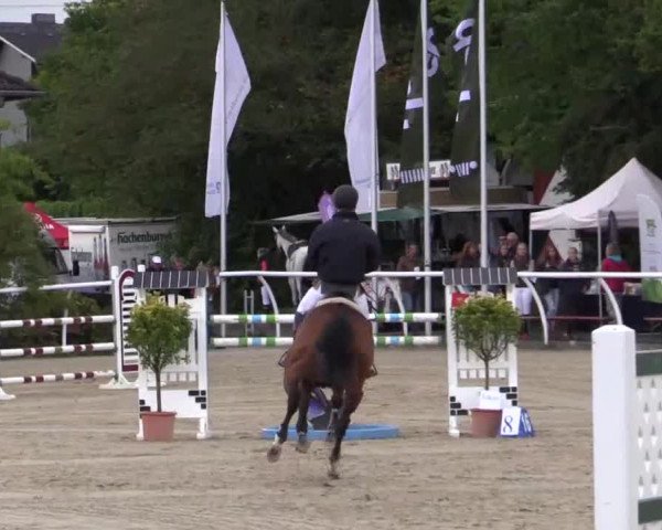 Hachenburg 2014