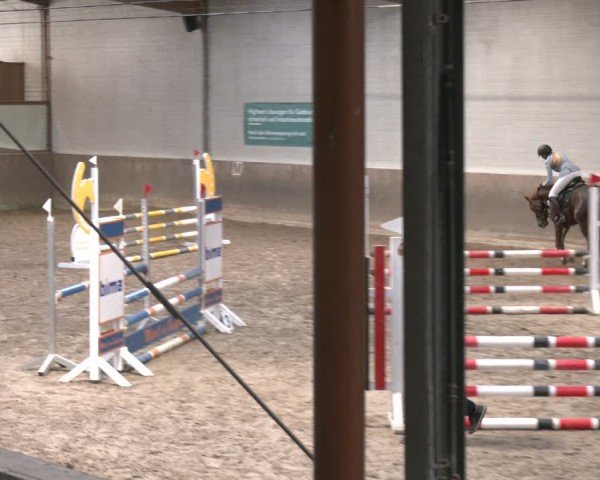 Reitturnier Barsinghausen 2025