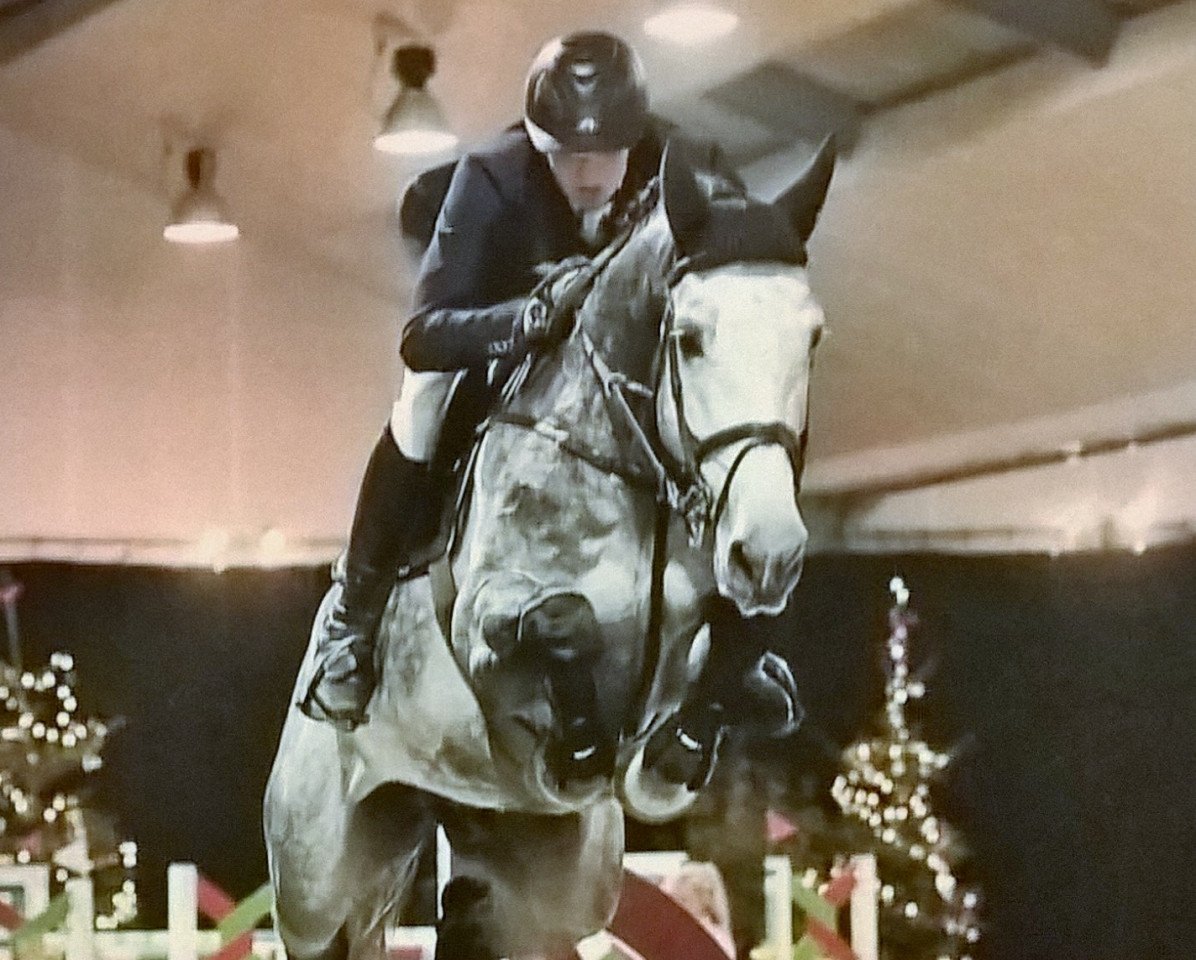 jumper Elton John (KWPN (Royal Dutch Sporthorse), 2009, from Clearway)