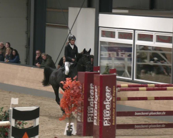 Reitturnier Borken 2025