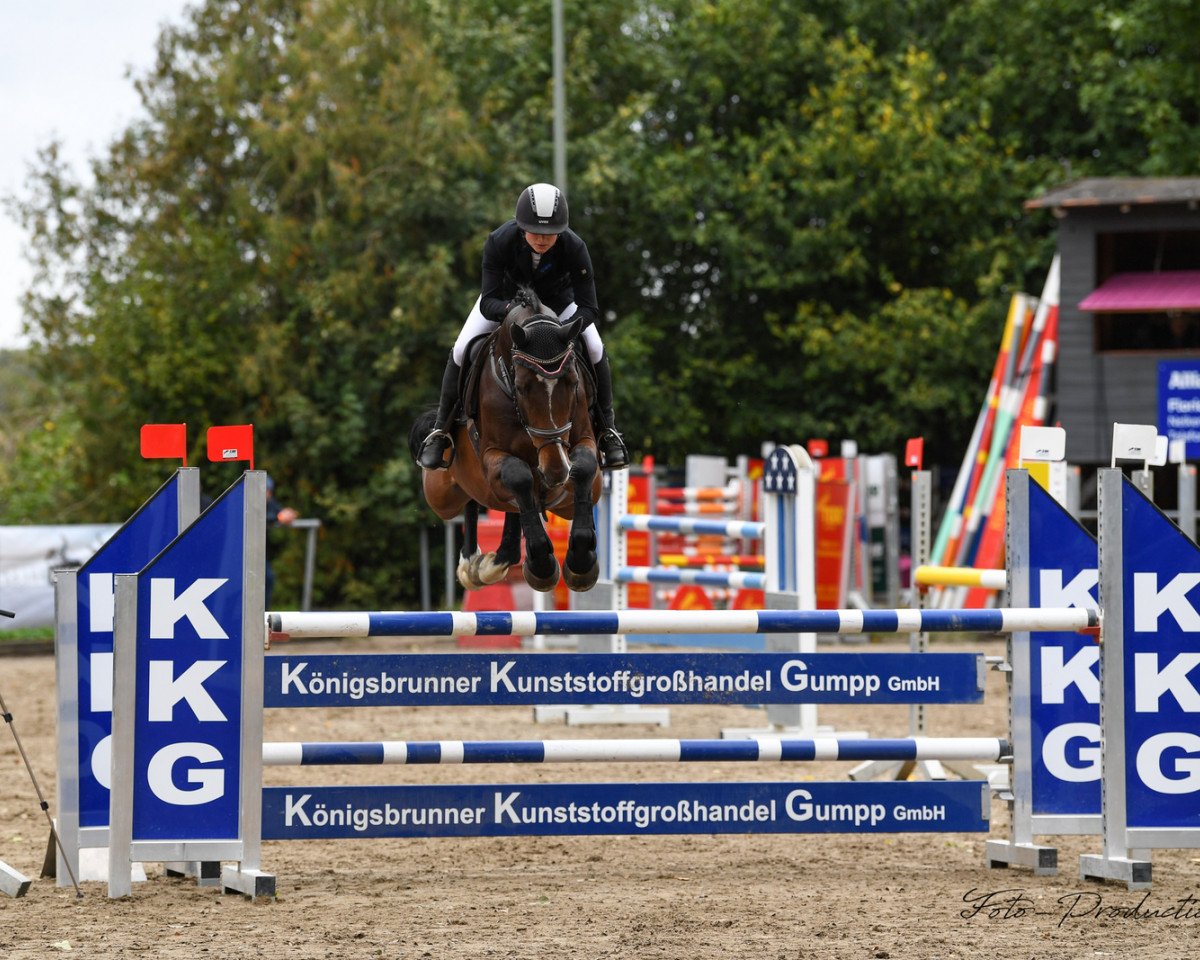 Springpferd Cleary F (Württemberger, 2013, von Clearline Z)