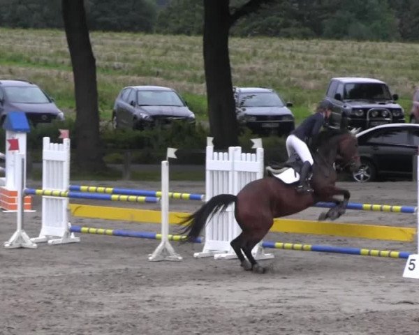 Recklinghausen 2014