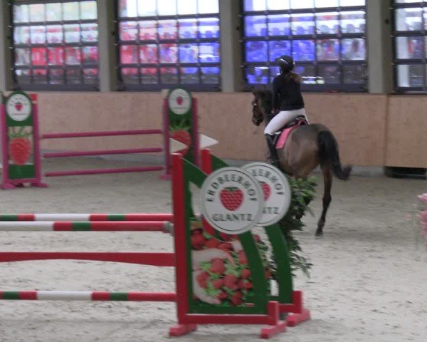 Equestrian Show Hohenkirchen-Hohen Wieschendorf 2025