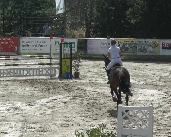 Bad Rothenfelder Reitertage 2014