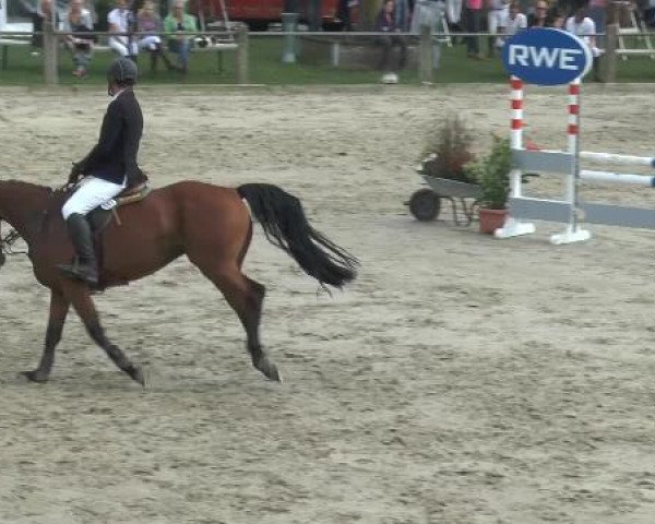 Bad Rothenfelder Reitertage 2014